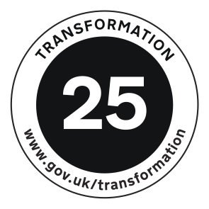 25 logo