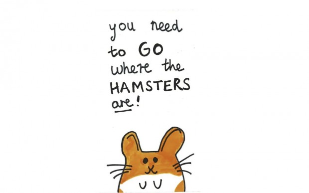 You need to go where the hamsters are!