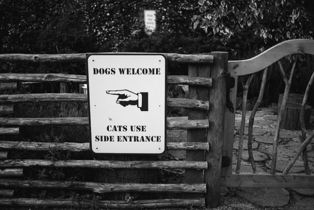Image of a sign in the countryside that reads "dogs welcome; cats use side entrance"