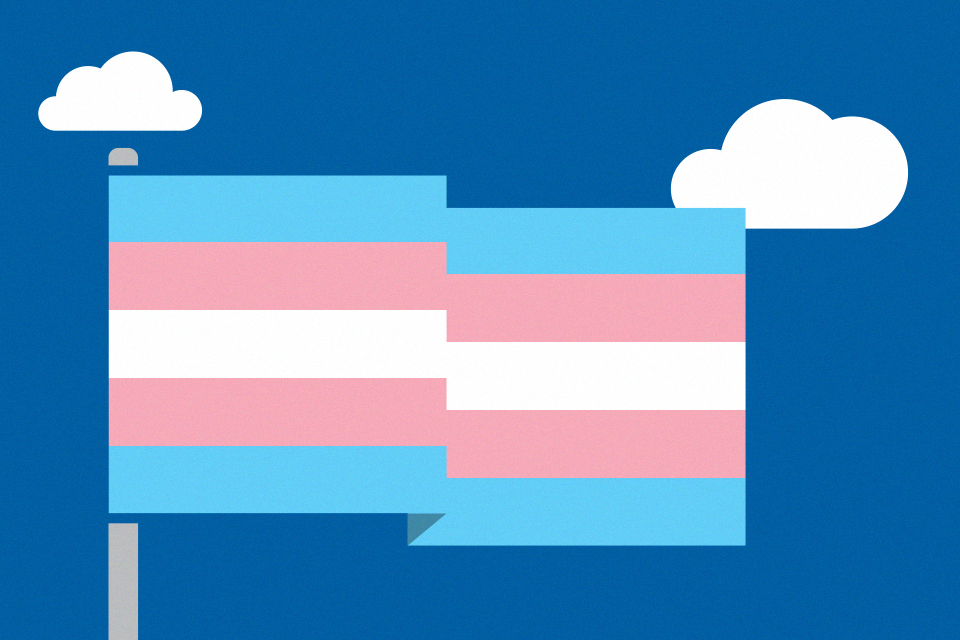 The transgender flag