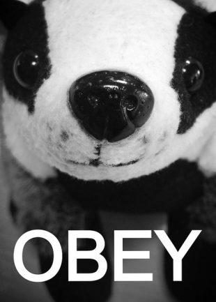 A photo of a toy badger with the word 'OBEY' in large letters