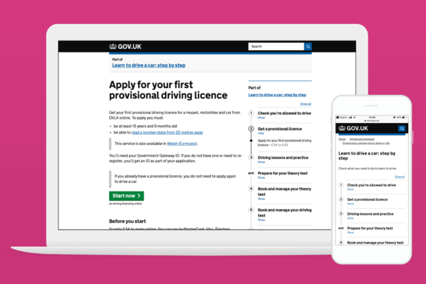 A screenshot of the Apply for your first provisional driving licence step by step page